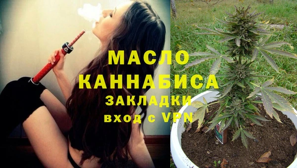 СК Богородск