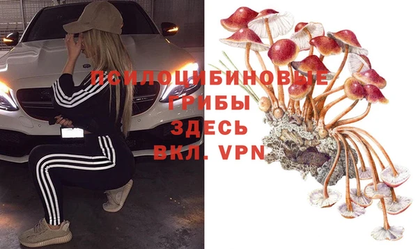 твердый Богородицк