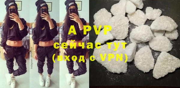 ПСИЛОЦИБИНОВЫЕ ГРИБЫ Белокуриха