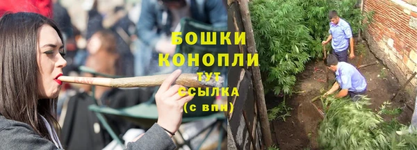 твердый Богородицк