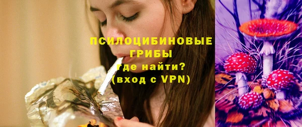 СК Богородск